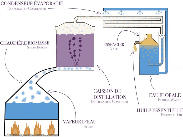 La Distillation Cest Tout Un Art Distillerie Duffez